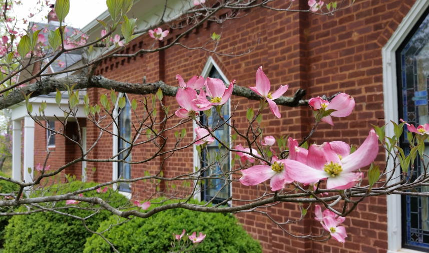 Welcome to Timber Ridge Presbyterian Church